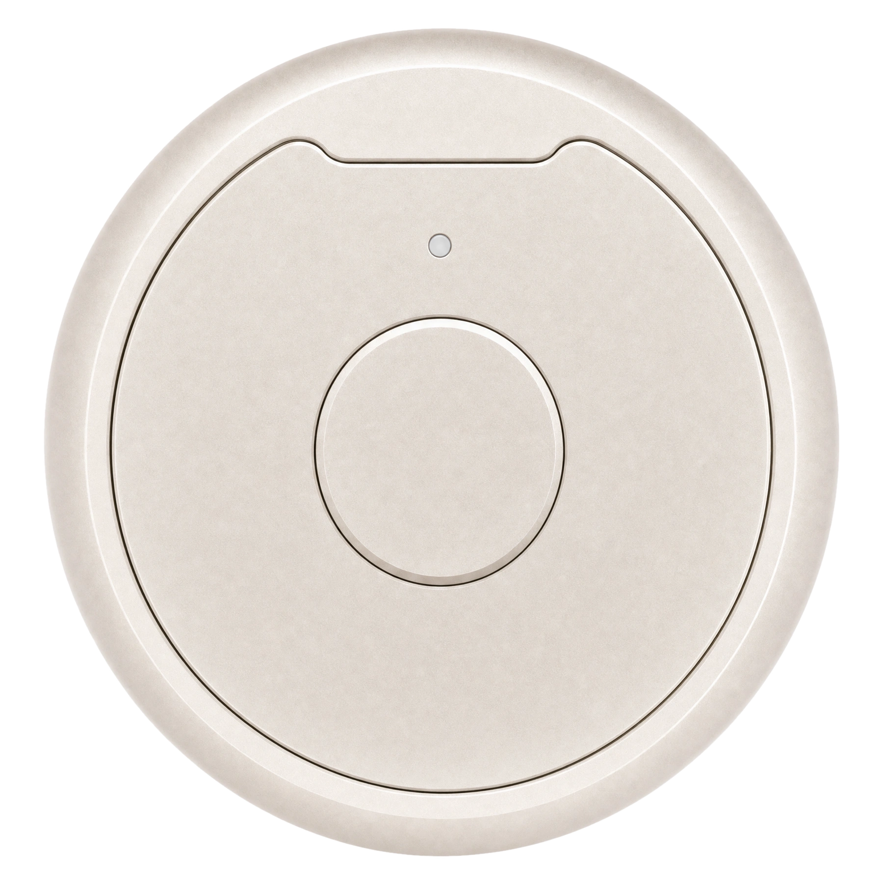 Nexting PIN — champagne silver